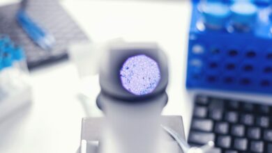 Avances recientes en la investigación del cáncer