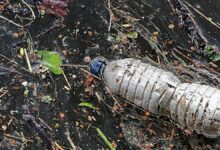 Enzimas para destruir las botellas de plástico