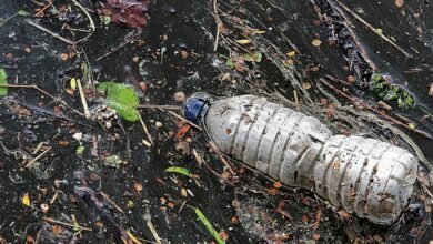 Enzimas para destruir las botellas de plástico