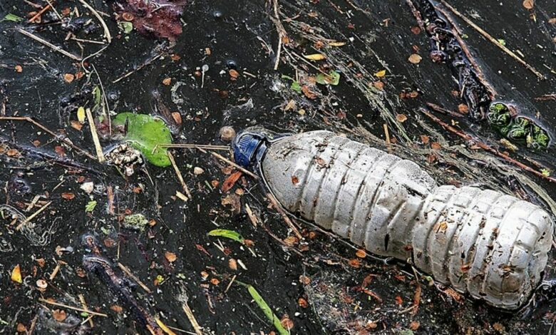 Enzimas para destruir las botellas de plástico