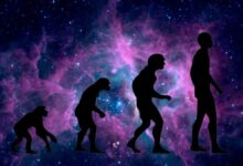 La evolución de las especies y del individuo