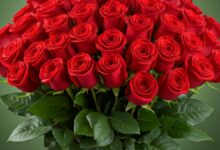 ¡500 Rosas Rojas: Un Mar de Amor en un Solo Ramo!