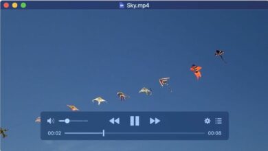 IINA, un gran reproductor de vídeo para macOS